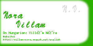 nora villam business card